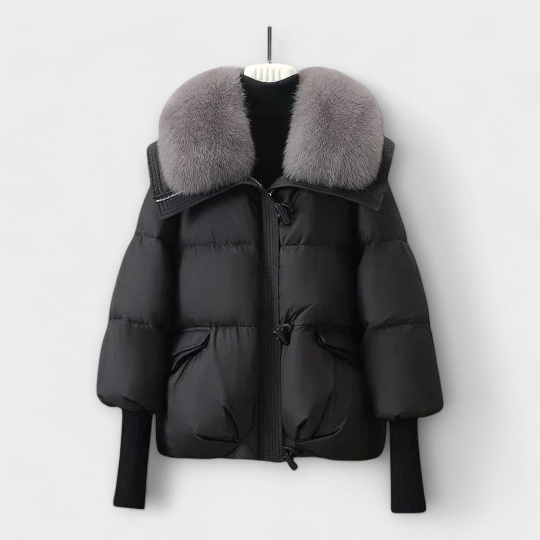 Elegant Coat with Fur