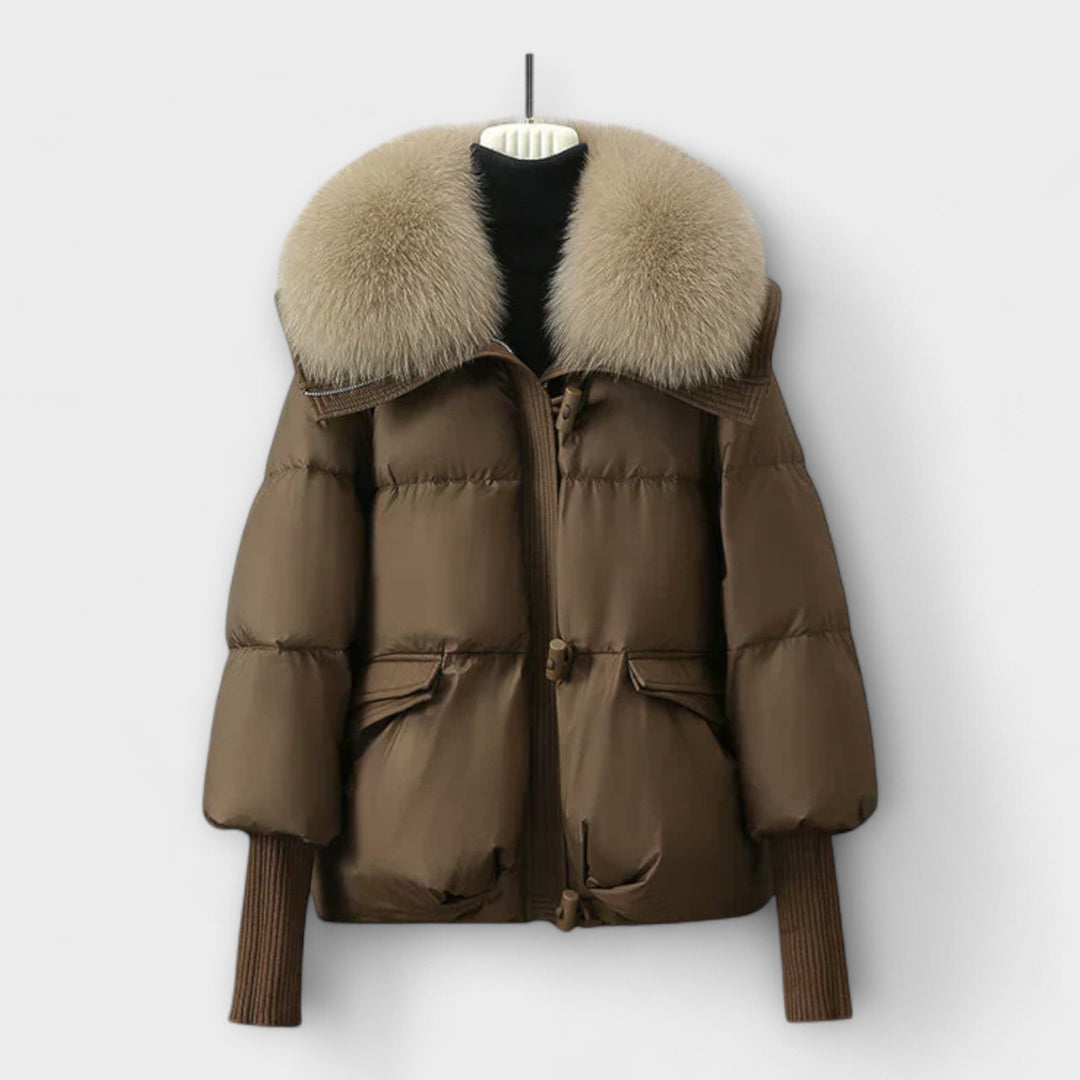 Elegant Coat with Fur